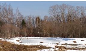 “Дороховы дачи” Пруд в поселке