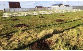 “Луговое” Плодовый садик