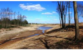 “Николины холмы” Планировка ландшафта