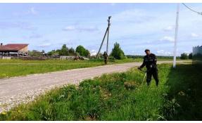 “Северный берег 1” Начался сезон покосов