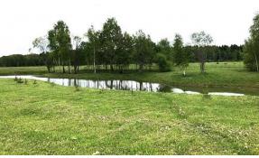 “Николины озёра” Покос обочин