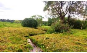 “Исток” Покосы в поселке