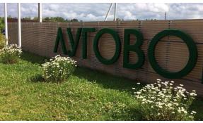 “Луговое” Зацвели ромашки