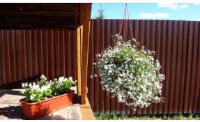 “Лесные пруды” Цветники