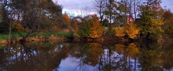 Старый пруд