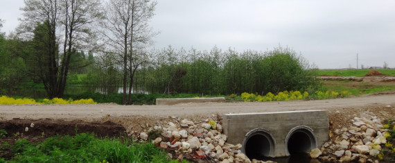 Речка Плесенка