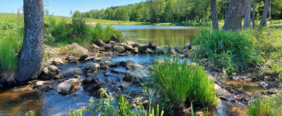 5Журчит вода 5Журчит вода