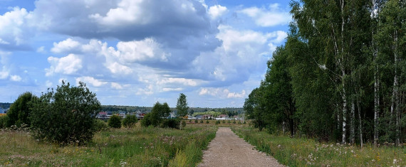 1дорога вдоль леса 1дорога вдоль леса