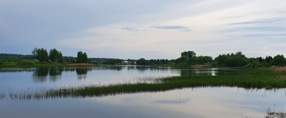 Главная Главная