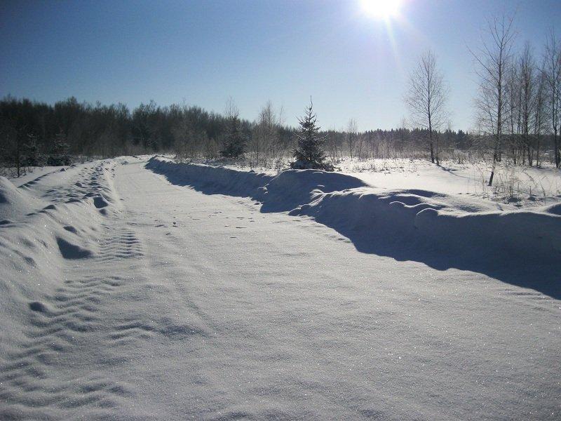 Дороги в Лесных прудах